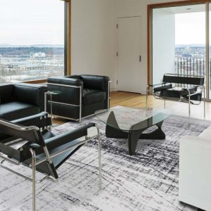 Modern living room with view in daytime