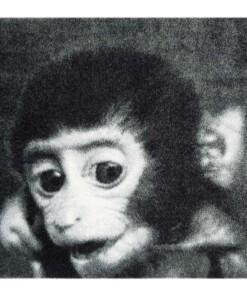 Deurmat Aap 102847 - overzicht boven, thumbnail Deurmat Aap 102847 - overzicht boven, thumbnail