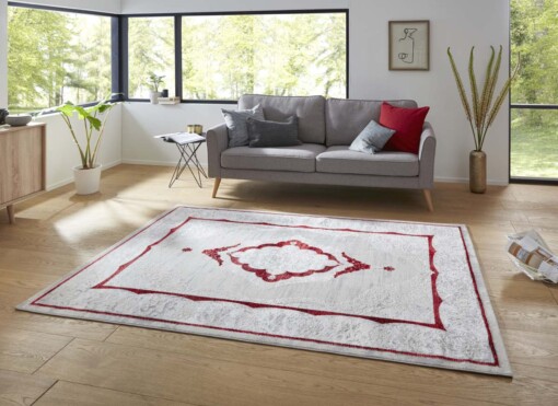 Modern vintage vloerkleed Alba - zilver/rood - sfeer
