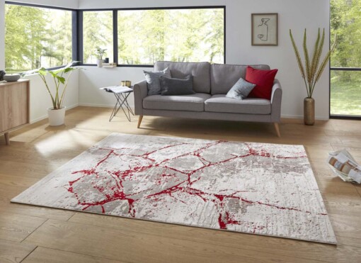 Modern vloerkleed Dayron - zilver/rood - sfeer
