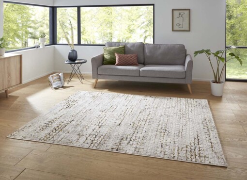 Modern vloerkleed Delio - zilver/goud - sfeer
