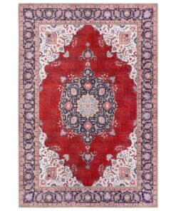 Perzisch tapijt Rana - rood/meerkleurig - overzicht boven
