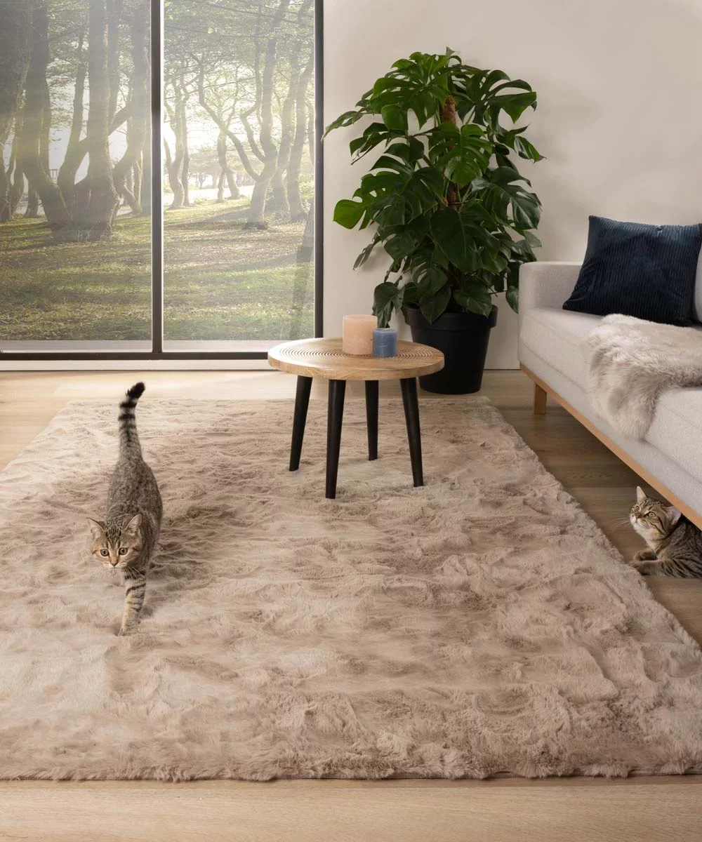 Systematisch Bergbeklimmer Pijnboom Zacht hoogpolig vloerkleed - Comfy plus - taupe | Tapeso