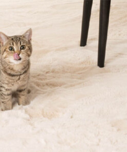 Zacht hoogpolig vloerkleed - Comfy plus - crème