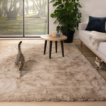 hoogpolig-vloerkleed-populair (1)