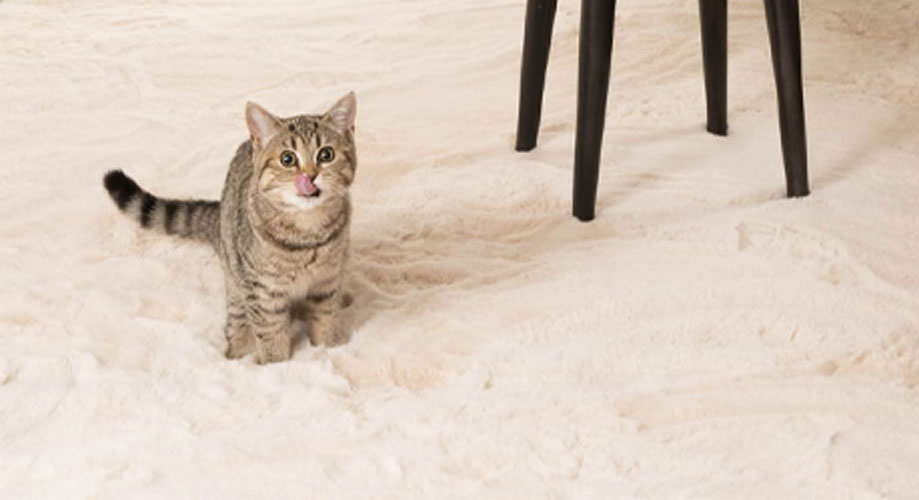 tapeso-img-mob-2 (1)