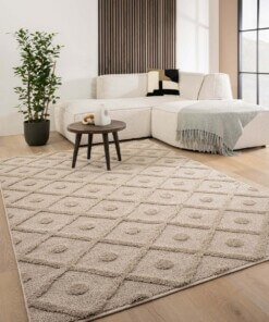 Scandinavisch vloerkleed - Arc Diamond beige