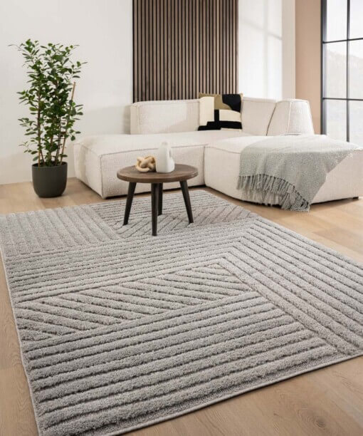 Scandinavisch vloerkleed - Arc Edge lichtgrijs