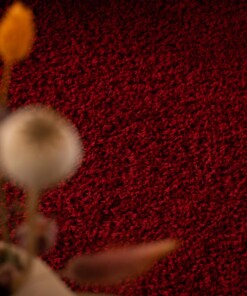 Hoogpolig vloerkleed shaggy Trend effen - rood - close up