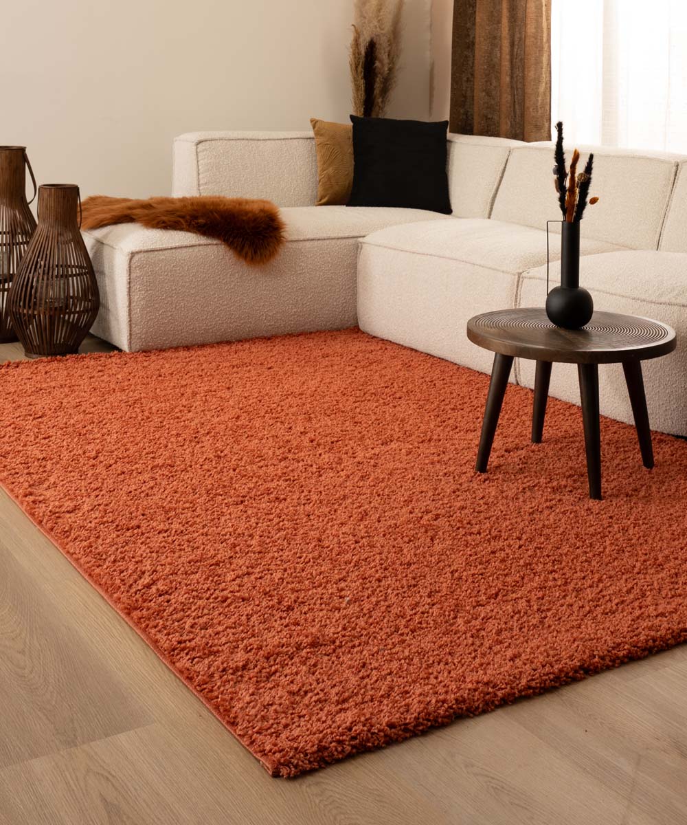 Hoogpolig vloerkleed shaggy Trend effen - terracotta - sfeer