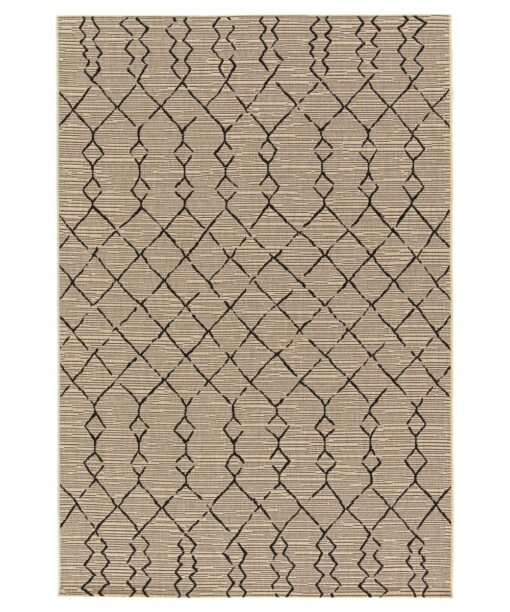 Buitenkleed berber - Bask Taza beige/zwart - overzicht